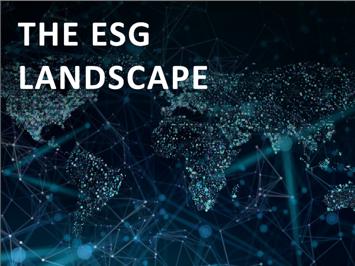 ESG Landscape Report